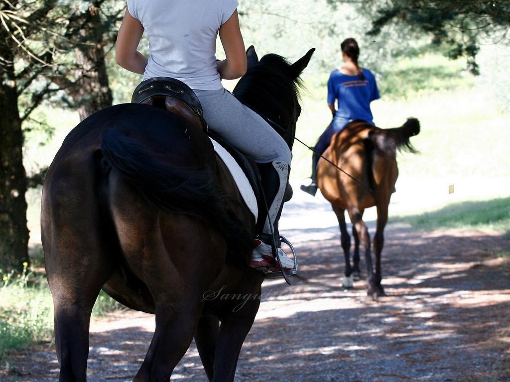 Acquaviva  Agriturismo Sanguineto المظهر الخارجي الصورة