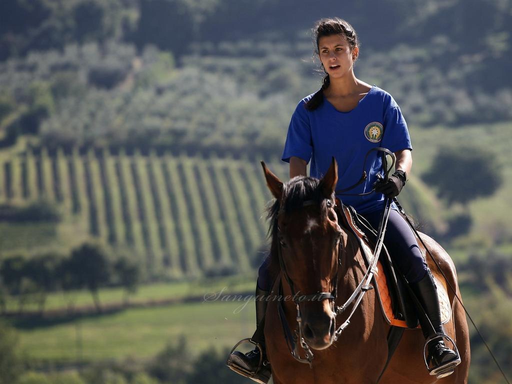 Acquaviva  Agriturismo Sanguineto المظهر الخارجي الصورة